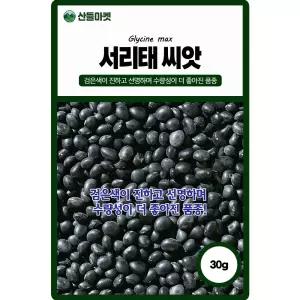 산들마켓 서리태 콩씨앗 30g 서리를 맞아가며 자라는 국내산 우수선별 콩씨 종자
