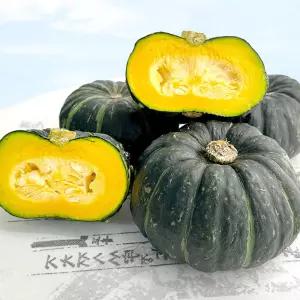 26년 첫수확 포슬포슬 제주 미니 밤호박 2kg 보우짱 단호박 특과 가정용