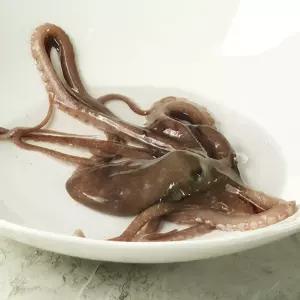 오늘잡은 중낙지 5마리 목포 산낙지 무안 낙지 신안 뻘낙지 볶음