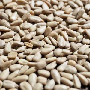 넛슈슈 해바라기씨 2kg (500g x 4봉) 소포장