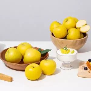 [더조은푸드][더조은] 황금사과 시나노골드 가정용 10kg 35-45과