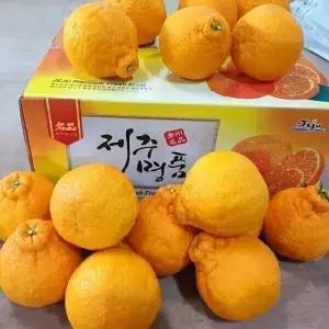 나영이네농장 하우스 한라봉10kg(50~65과)-중소과/실속형/무료배송