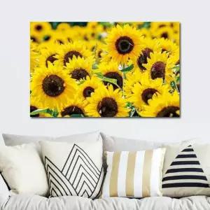 출고옵션 - 25x40cm ) 돈을 부르는 해바라기 캔버스 해바라기액자 인테리어액자