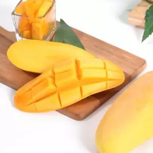 마하차녹 무지개 망고 8-12과 4kg내외 항공물량