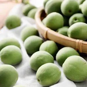 청매실 10kg 왕특(32mm이상)