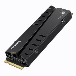 PS5용 판샹 S770 1TB NVMe M.2 SSD - 히트싱크 및 DRAM, 최대 7300MB/s, PCIe 4.0, PS5 메모리 확장, 게임 애호가, IT 전문가에게 적합
