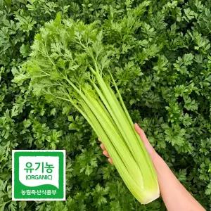 초록초록팜 유기농 셀러리 2kg 아삭한 채소 주스용 생즙 샐러드 당일수확 국내산 샐러리 광양 산지직송 JW
