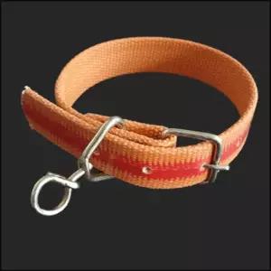대형견 애견 개줄 소 목줄 밸트삼각목줄 목걸이 30mm 산책 애견 강아지 (WD12FD0)