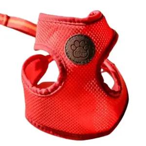 강아지 여름 하네스 리드줄 세트 레드 S 1P 에어매쉬 강아지가슴줄 (WC47F70)