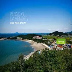 [전북] 부안 라벤더펜션(전북, 부안)