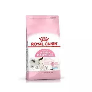 로얄캐닌 마더앤베이비 고양이 캣 2kg
