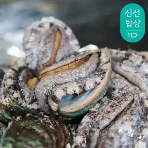 [바다마을] 완도 참 전복 활전복 특대 10-11미 1kg