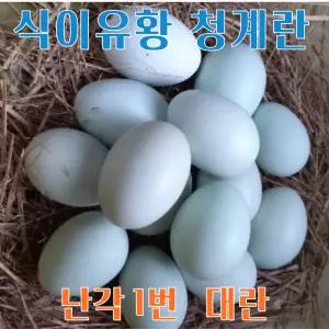 강원고성 자연방사 청계란 (30구) 청란 유정란 청계알 계란 (난각1번)