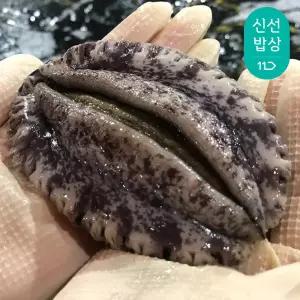 [품질보장]해신수산 완도활전복 특특大 6-7미 1kg