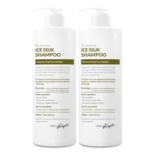닥터라파알 아이스 쑥 쿨 탈모 샴푸 500ml x 2개 지성 두피케어 멘솔