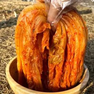[약이되는밥상]당일생산 저온숙성 전라도 묵은지 신김치 묵은김치 2kg 3kg 5kg