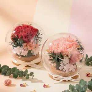 아이두 DIY 어버이날 카네이션 글래스볼 미니 테라리움 만들기 키트 (조화)