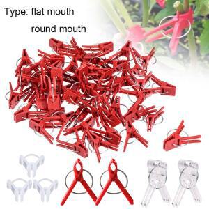 25-100PCS 식물 접목 클립 오이 가지 수박, 둥근 입 플랫 Anti-fall 클램프에 대 한 플라스틱 원예 도구