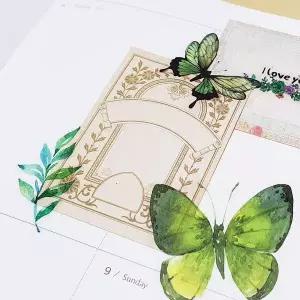 [골드스마일]나비 스티커 40P 세트 초록나비