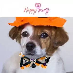 강아지 고양이 할로윈 펌프킨 2단 리본 방울 목걸이 반려동물