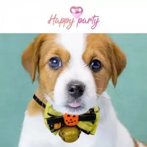 할로윈 코스튬 펫 펌프킨 강아지 고양이 방울 목걸이 3단 리본