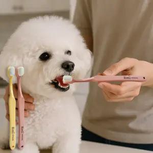 아인솝 바른칫솔롱