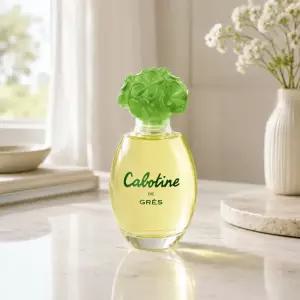 그레 카보틴 EDT 100ml 코스트코 잡화마켓2606