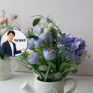 지금 필요한 장미꽃으로 화분 블루밍 만든 조화화분 로즈 귀여운 동글동글