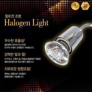 피알피쉬 거북이 할로겐 조명 (DS-WG400)
