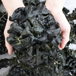 완도 햇 돌미역귀 500g 800g 자연산 미역머리 산모미역 말린미역귀