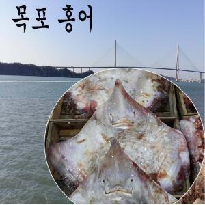 홍어 국산홍어 1마리 통채로 9 kg 전후 목포