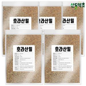 햇 호라산밀 1kgx5팩 호라산 밀 슈퍼곡물 고대곡물 2023년 수입