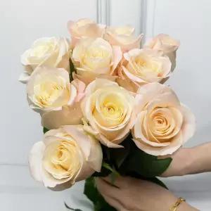 (플라워마켓) 하젤 장미 5송이 꽃배달 싼곳 도매 생화꽃