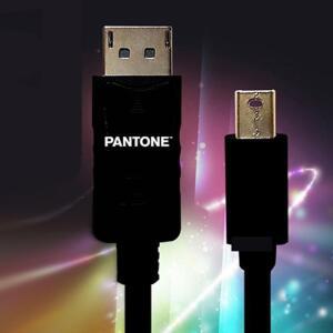 PANTONE MINI DP to DP 3M 디스플레이 케이블