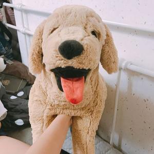 [이케아] GOSIG GOLDEN 고시그 골덴 강아지인형 대형/봉제인형/애착인형/골든리트리버/장난감