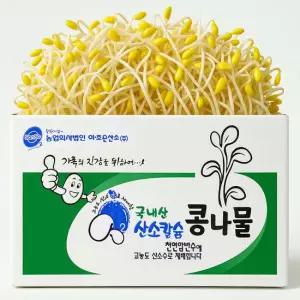 [무농약 국산콩] 산소 콩나물 3kg