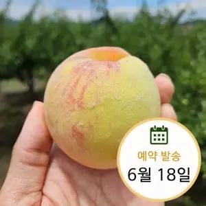 경북 아삭이 딱딱이 복숭아 2kg 대과