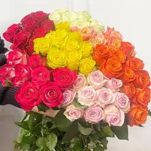 (플라워마켓) 장미 10송이 랜덤 색상 양재꽃시장 생화 배달 꽃 정기구독