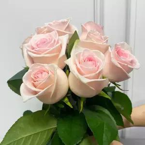 (플라워마켓) 빅토리아 핑크 장미 5 송이 양재꽃시장 생화 배달 꽃 정기구독