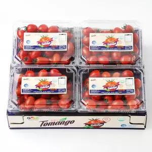 토마토 스테비아 방울토마토 대추토망고 500gx4팩(총 2kg)
