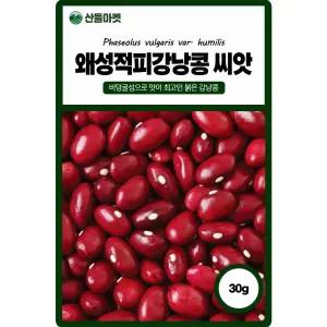 산들마켓 왜성적피얼룩 강낭콩씨앗 30g 붉은색의 비덩굴성 강낭콩씨 종자