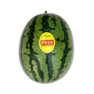 유명산지 맹동수박 10kg이상
