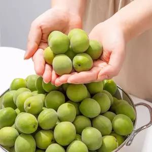 [미식한가] 광양 매실 청매실 대 (30mm) 10kg