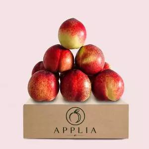 [로열과로만] 애플리아 26년 햇 신비복숭아 로열과 1kg( 7∼12과)