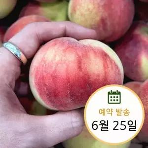 고당도 반납작 대극천 복숭아 1kg 대과