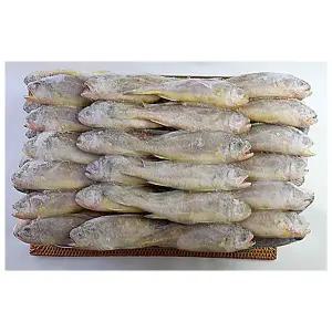 냉동 업소용 참조기 봉화 50-52미 3.5kg