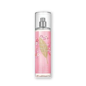 그린티 체리블라썸 바디 미스트 236ml