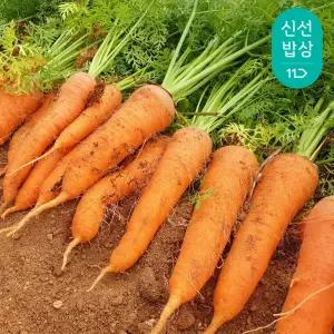 [품질보장]국내산 산지직출하 흙당근 주스용 못난이 10kg