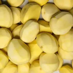 구쁜참 공주 깐밤 500g 대 특대 사이즈 약품처리 제로 100% 맛밤 프리미엄 밤 냉장보관
