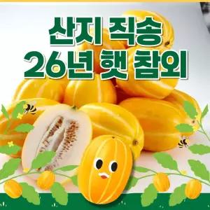 스타몽키 과일 26년 햇 상주 꿀참외가 왔어요 봄 제철과일 중 으뜸 달콤 아삭 향긋